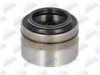 BTA H2Y019BTA Wheel Bearing Kit